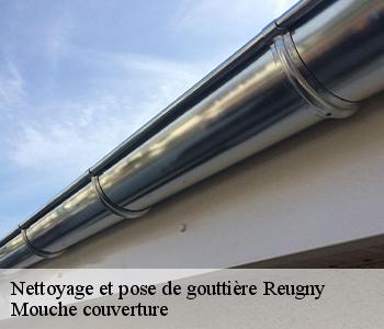 Nettoyage et pose de gouttière 03190