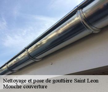 Nettoyage et pose de gouttière  03220