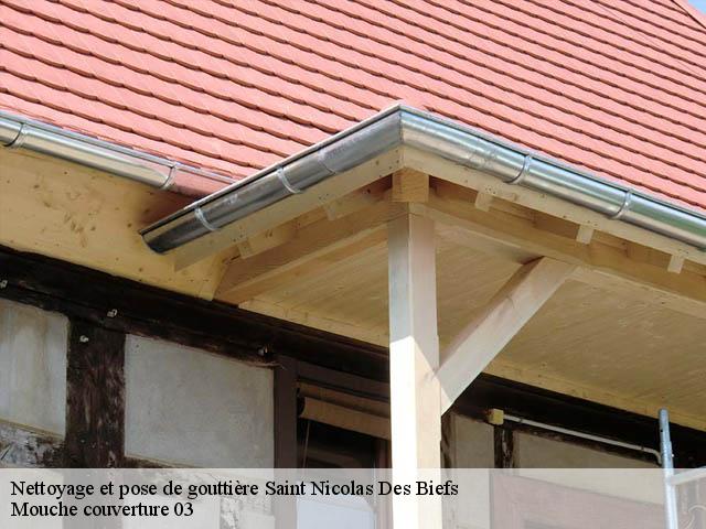 Nettoyage et pose de gouttière 03250