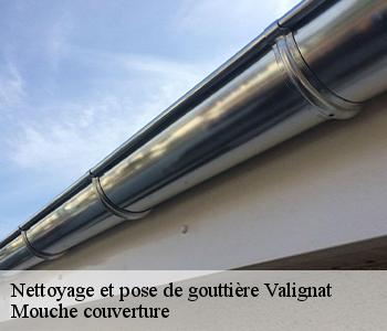Nettoyage et pose de gouttière 03330