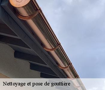 Nettoyage et pose de gouttière