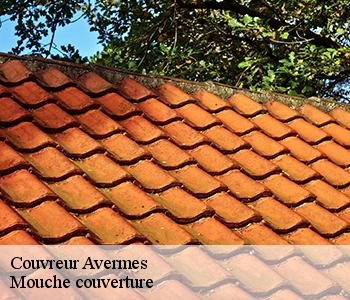 Couvreur avermes-03000 Mouche couverture