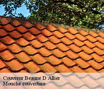 Couvreur beaune-d-allier-03390 Mouche couverture