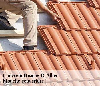 Couvreur 03390