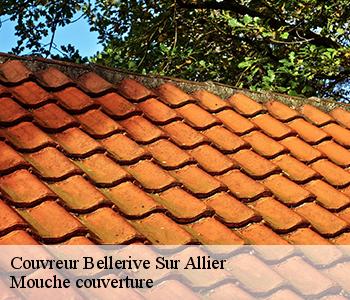 Couvreur bellerive-sur-allier-03700 Mouche couverture