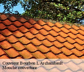 Couvreur bourbon-l-archambault-03160 Mouche couverture