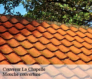 Couvreur la-chapelle-03300 Mouche couverture