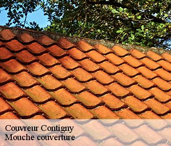 Couvreur contigny-03500 Mouche couverture