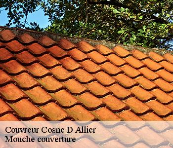 Couvreur cosne-d-allier-03430 Mouche couverture