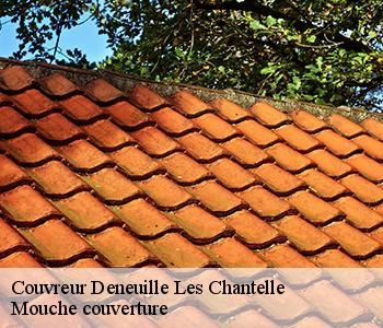 Couvreur deneuille-les-chantelle-03140