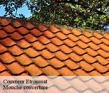 Couvreur etroussat-03140 Mouche couverture