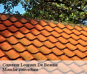 Couvreur louroux-de-beaune-03600 Mouche couverture