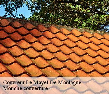 Couvreur le-mayet-de-montagne-03250 Mouche couverture