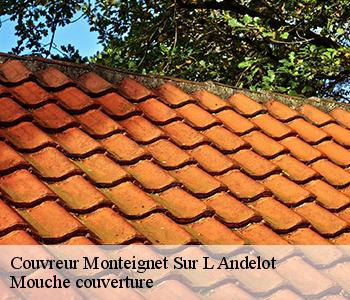 Couvreur monteignet-sur-l-andelot-03800 Mouche couverture