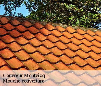 Couvreur montvicq-03170 Mouche couverture