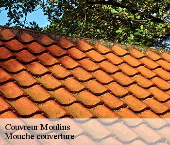 Couvreur moulins-03000 Mouche couverture