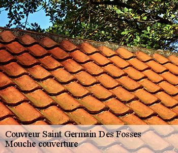 Couvreur saint-germain-des-fosses-03260 Mouche couverture
