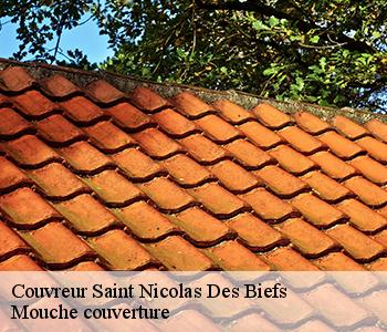 Couvreur saint-nicolas-des-biefs-03250 Mouche couverture