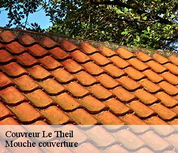 Couvreur le-theil-03240 Mouche couverture