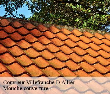 Couvreur villefranche-d-allier-03430 Mouche couverture