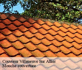 Couvreur villeneuve-sur-allier-03460 Mouche couverture