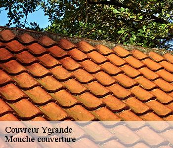 Couvreur ygrande-03160 Mouche couverture