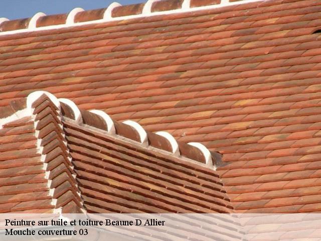 Peinture sur tuile et toiture  beaune-d-allier-03390 Mouche couverture 03