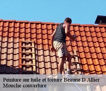 Peinture sur tuile et toiture  03390