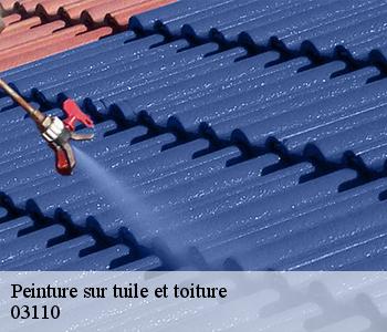 Peinture sur tuile et toiture 03110