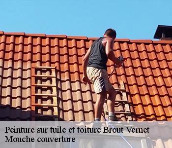 Peinture sur tuile et toiture 03110