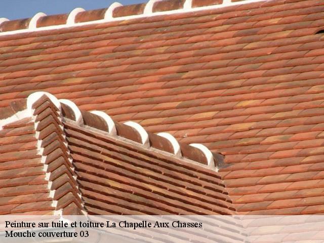 Peinture sur tuile et toiture  la-chapelle-aux-chasses-03230 Mouche couverture 03