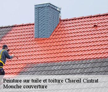 Peinture sur tuile et toiture  chareil-cintrat-03140 Mouche couverture 03