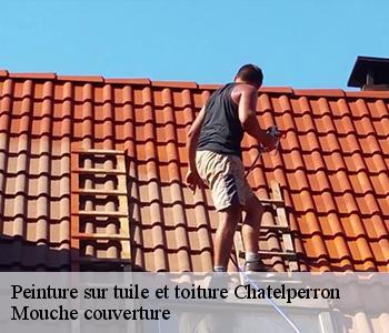 Peinture sur tuile et toiture 03220