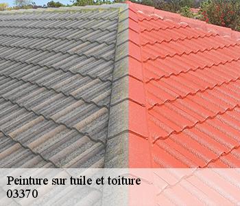 Peinture sur tuile et toiture 03370