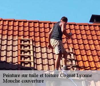 Peinture sur tuile et toiture 03110