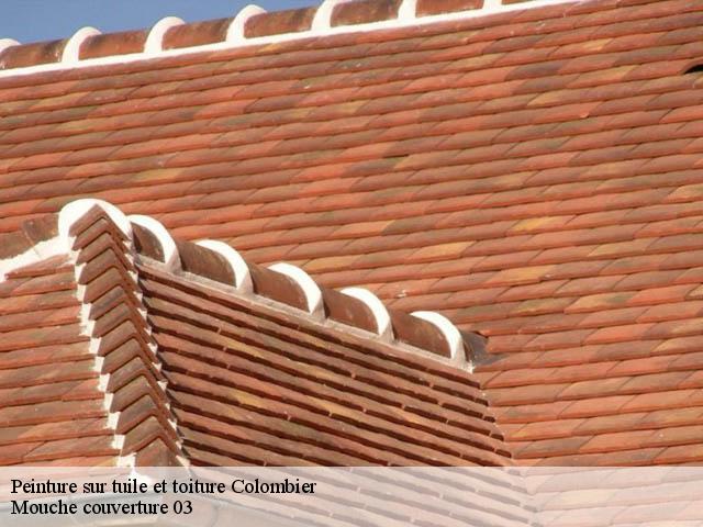 Peinture sur tuile et toiture  colombier-03600 Mouche couverture 03