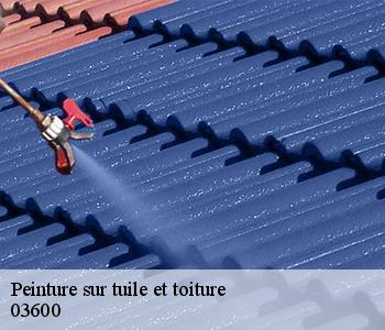 Peinture sur tuile et toiture 03600