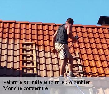 Peinture sur tuile et toiture 03600