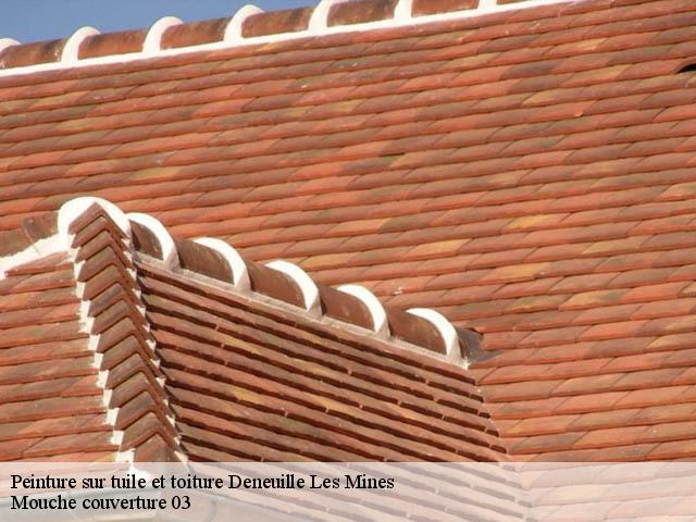 Peinture sur tuile et toiture  deneuille-les-mines-03170 Mouche couverture 03