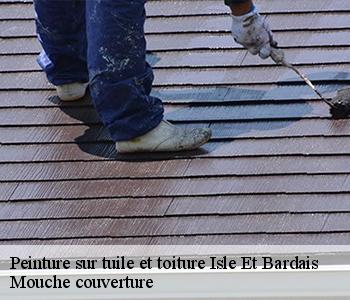 Peinture sur tuile et toiture