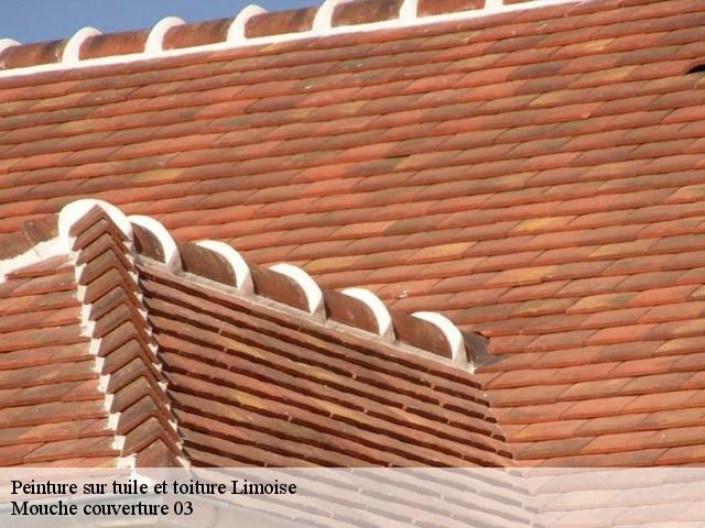 Peinture sur tuile et toiture limoise-03320 Mouche couverture 03