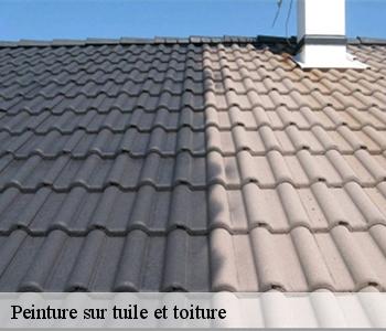 Peinture sur tuile et toiture