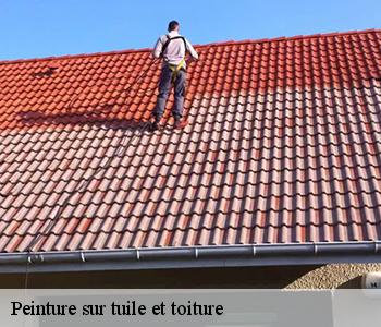 Peinture sur tuile et toiture