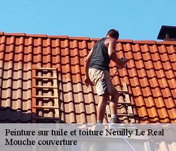 Peinture sur tuile et toiture 03340