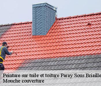 Peinture sur tuile et toiture paray-sous-briailles-03500 Mouche couverture
