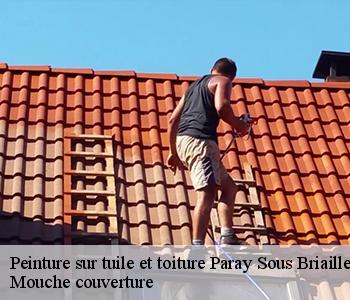 Peinture sur tuile et toiture 03500