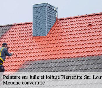 Peinture sur tuile et toiture pierrefitte-sur-loire-03470 Mouche couverture