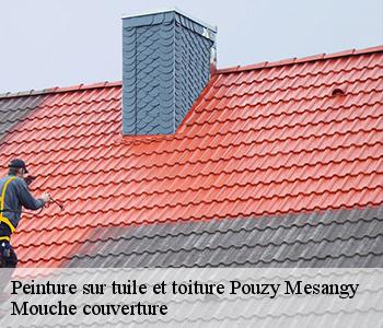 Peinture sur tuile et toiture pouzy-mesangy-03320 Mouche couverture