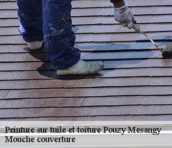 Peinture sur tuile et toiture
