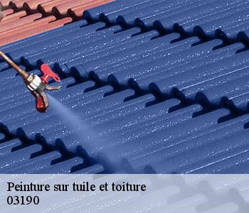 Peinture sur tuile et toiture 03190